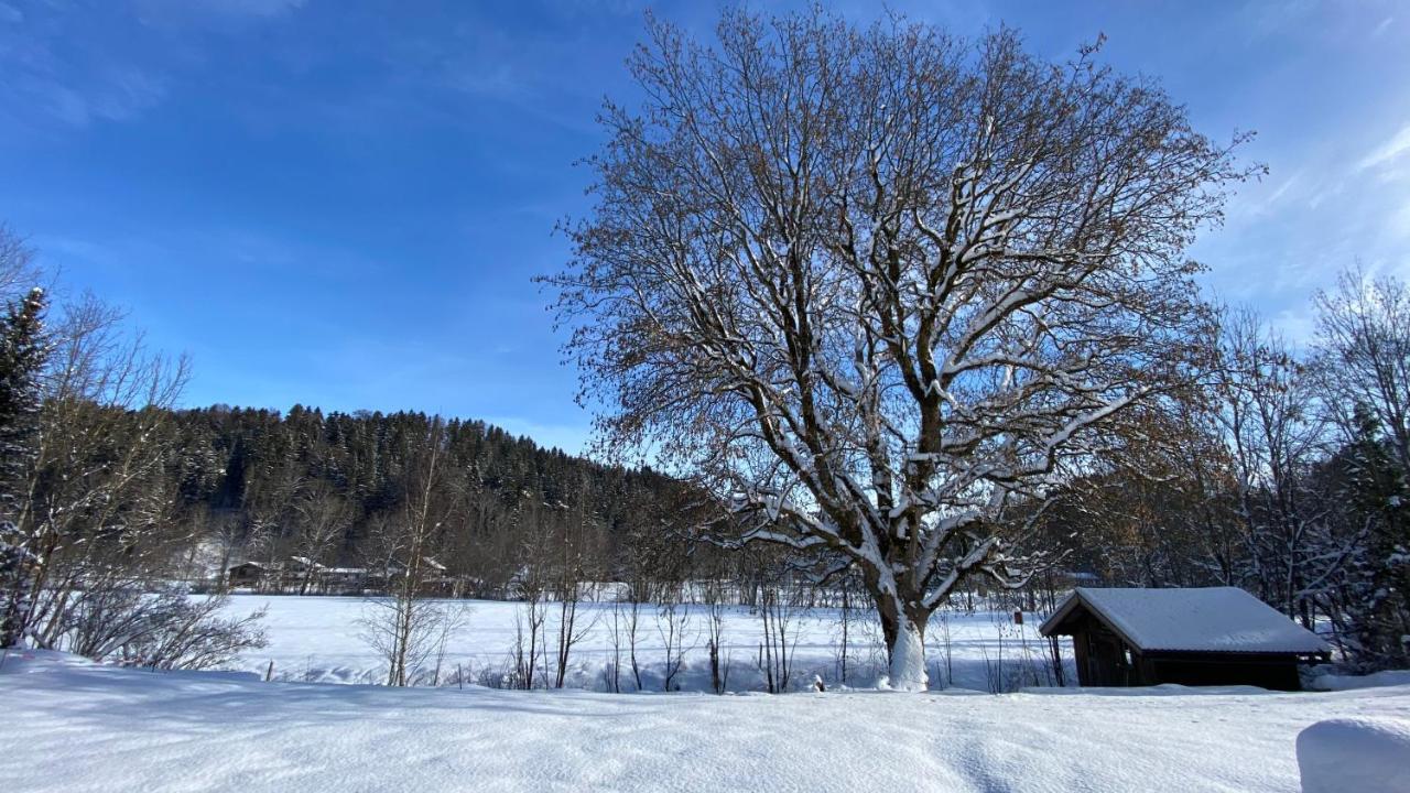 Pure Nature Munich - Alps Фишбахау Экстерьер фото